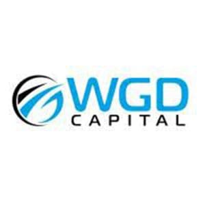 WGD Capitaal logo